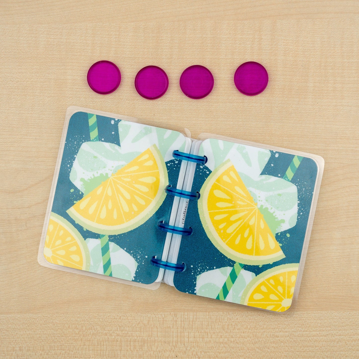 Iced Drink Summer Fun Happy Planner Covers | 2 Disc Colour Options | Micro Happy Planner Cover Set | Planner Accessories