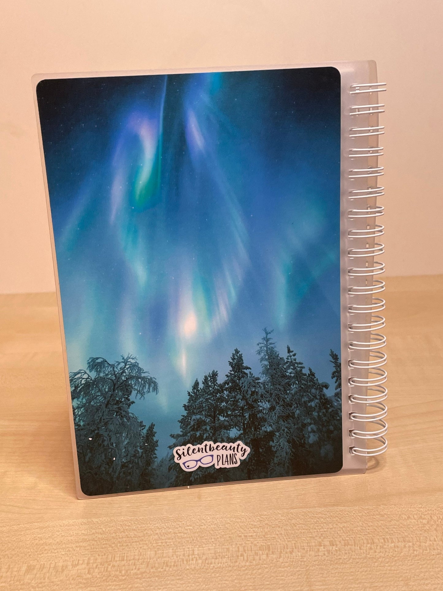 Northern Lights | Reusable Sticker Book | B6 | Silentbeauty Plans