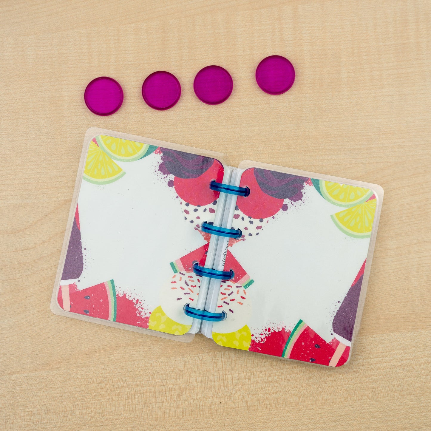 Watermelon Summer Fun Happy Planner Covers | 2 Disc Colour Options | Micro Happy Planner Cover Set | Planner Accessories